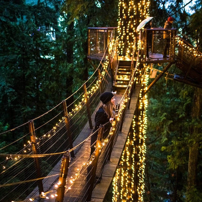 3. Capilano Suspension Bridge Park or Lynn Canyon Park