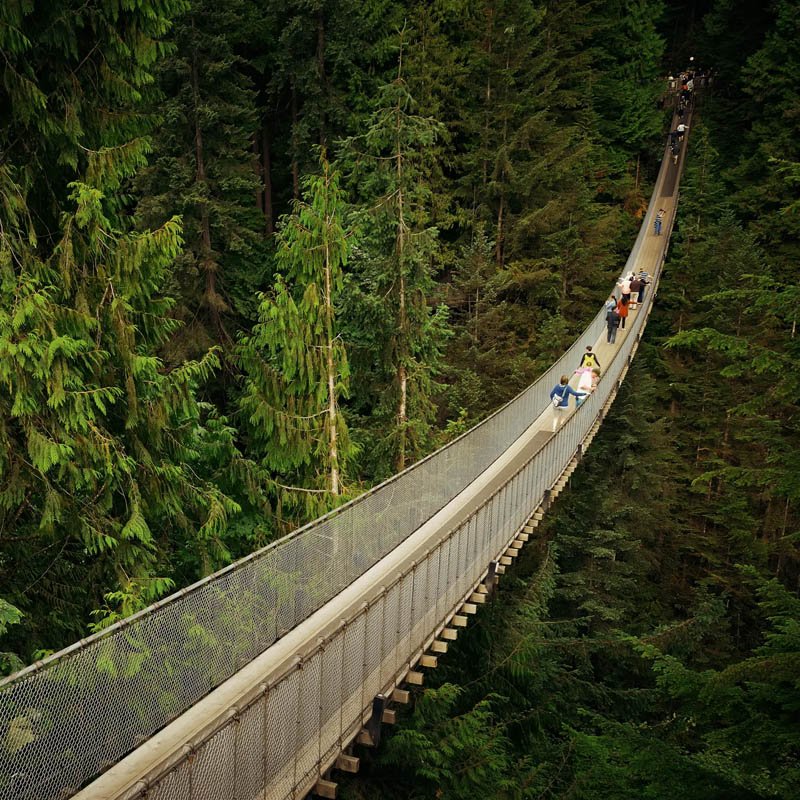 <span class="day">Day two:</span><br> 1. Capilano Suspension Bridge Park or Lynn Canyon Park